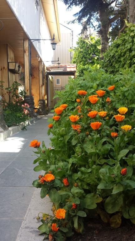 Hostal Parediso Punta Arenas Ngoại thất bức ảnh