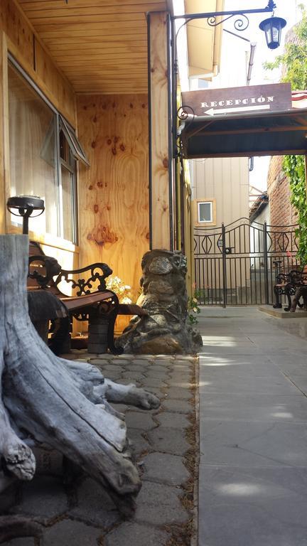 Hostal Parediso Punta Arenas Ngoại thất bức ảnh